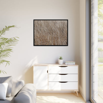 Dry Grass Symphony - Unique Stretched Canvas Wall Art - Art By Earth