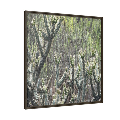 Prickly Paradise - Unique Stretched Canvas Wall Art
