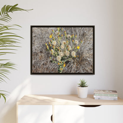 Whispers of the Dry Grass - Unique Stretched Canvas Wall Art - Art By Earth