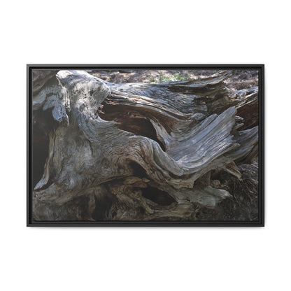 Twisted Memories - Unique Stretched Canvas Wall Art