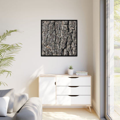 Bark Study in Gray - Unique Stretched Canvas Wall Art