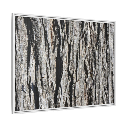 Bark Lines - Unique Stretched Canvas Wall Art