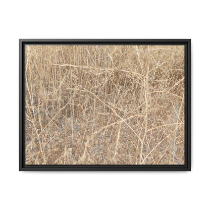 Golden Stalks - Unique Stretched Canvas Wall Art