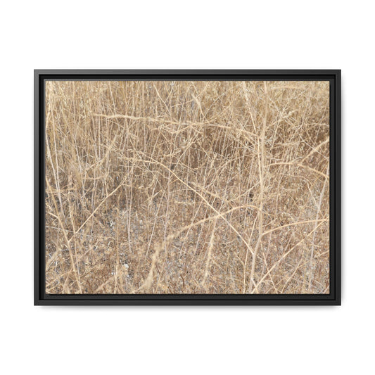 Golden Stalks - Unique Stretched Canvas Wall Art