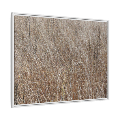 Dry Grass Symphony - Unique Stretched Canvas Wall Art - Art By Earth