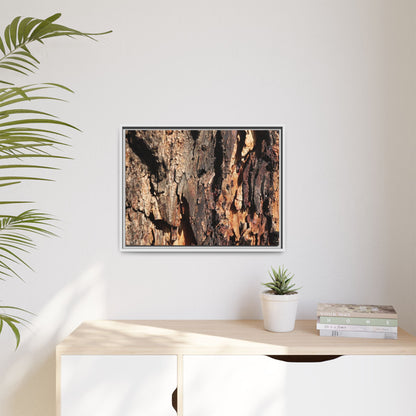 Rugged Beauty - Unique Stretched Canvas Wall Art