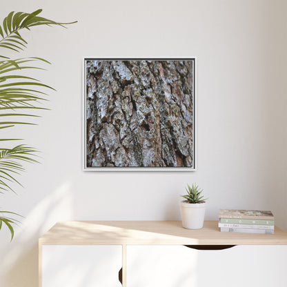 Woodland Canvas - Unique Stretched Canvas Wall Art