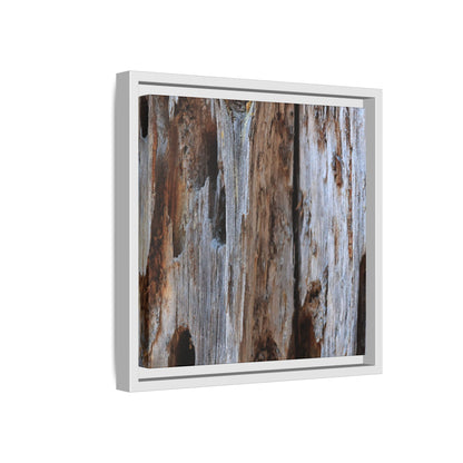 Decaying Splendor - Unique Stretched Canvas Wall Art