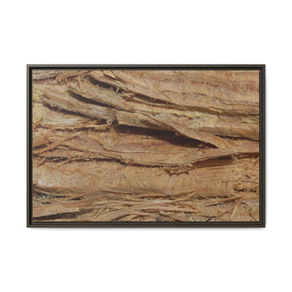 Splintered Bark - Unique Stretched Canvas Wall Art