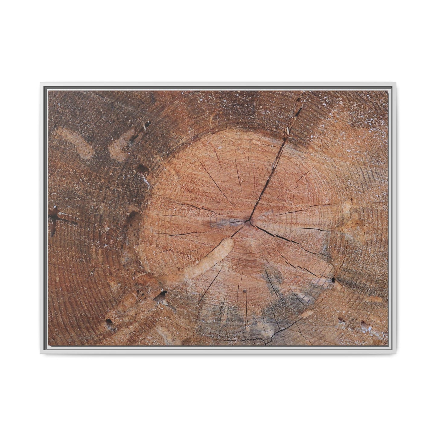 Concentric Memories - Unique Stretched Canvas Wall Art
