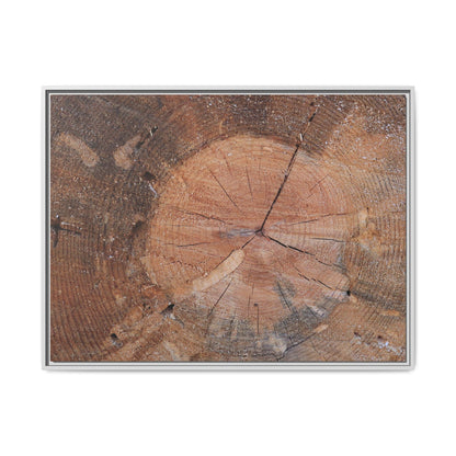 Concentric Memories - Unique Stretched Canvas Wall Art