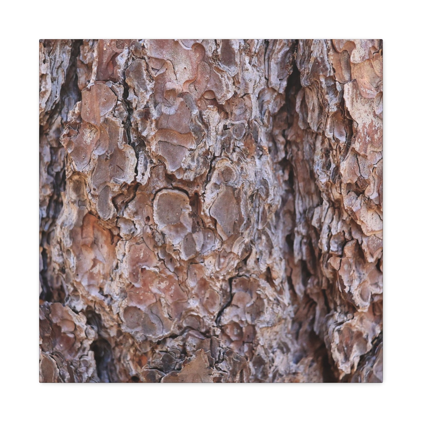 Rugged Bark Landscape - Unique Frameless Canvas Wall Art