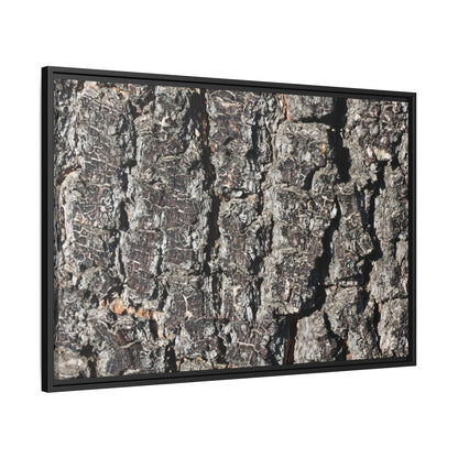 Bark Study in Gray - Unique Stretched Canvas Wall Art