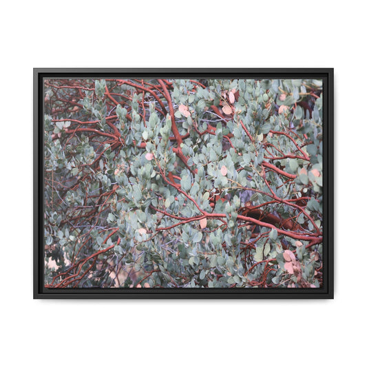 Whispers of Sage - Unique Stretched Canvas Wall Art