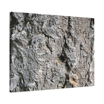 Elemental Canvas - Unique Frameless Canvas Wall Art