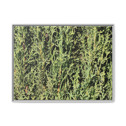 Emerald Labyrinth - Unique Stretched Canvas Wall Art - Art By Earth