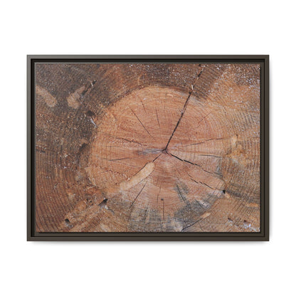 Concentric Memories - Unique Stretched Canvas Wall Art