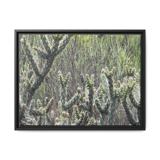 Prickly Paradise - Unique Stretched Canvas Wall Art