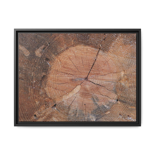 Concentric Memories - Unique Stretched Canvas Wall Art