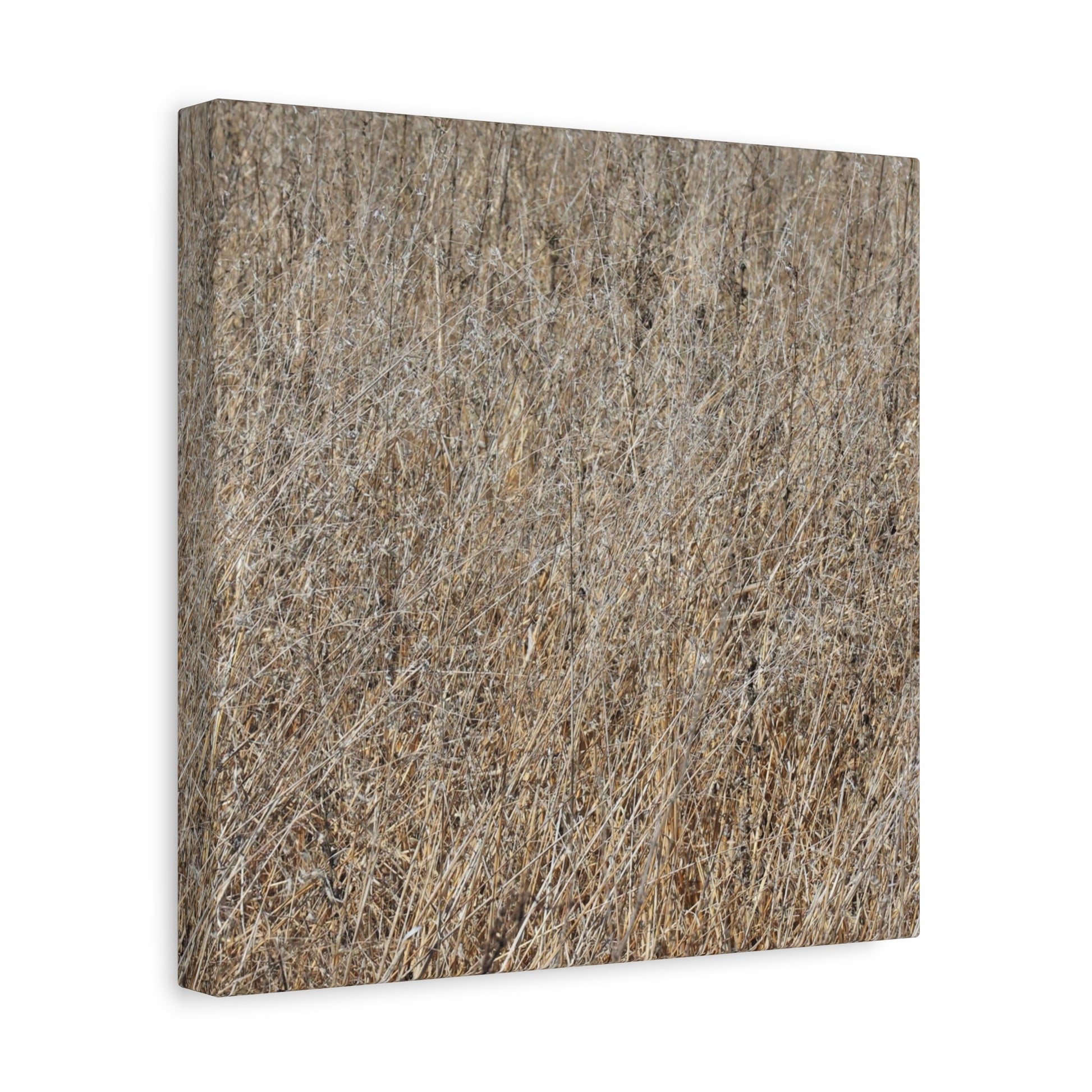 Silent Prairie - Unique Frameless Canvas Wall Art - Art By Earth