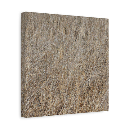 Silent Prairie - Unique Frameless Canvas Wall Art - Art By Earth