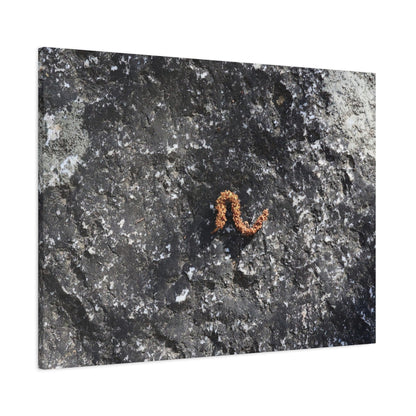 Earthen Serpent - Unique Frameless Canvas Wall Art