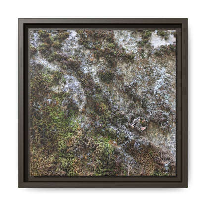 Mossy Whispers - Unique Stretched Canvas Wall Art