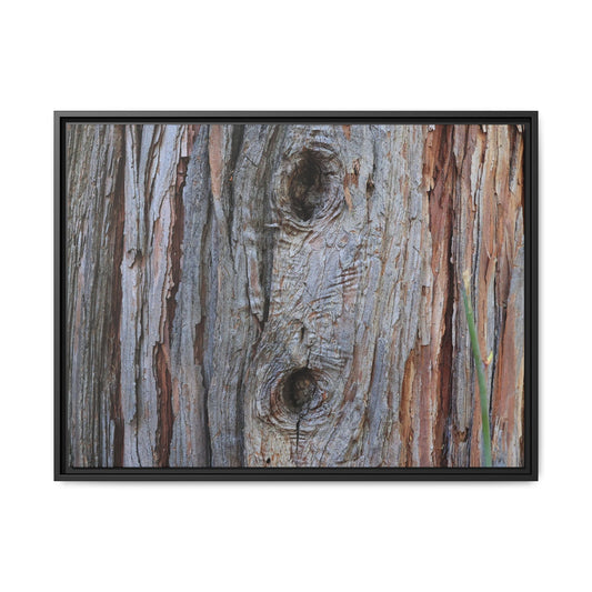 Knotty Nature - Unique Stretched Canvas Wall Art