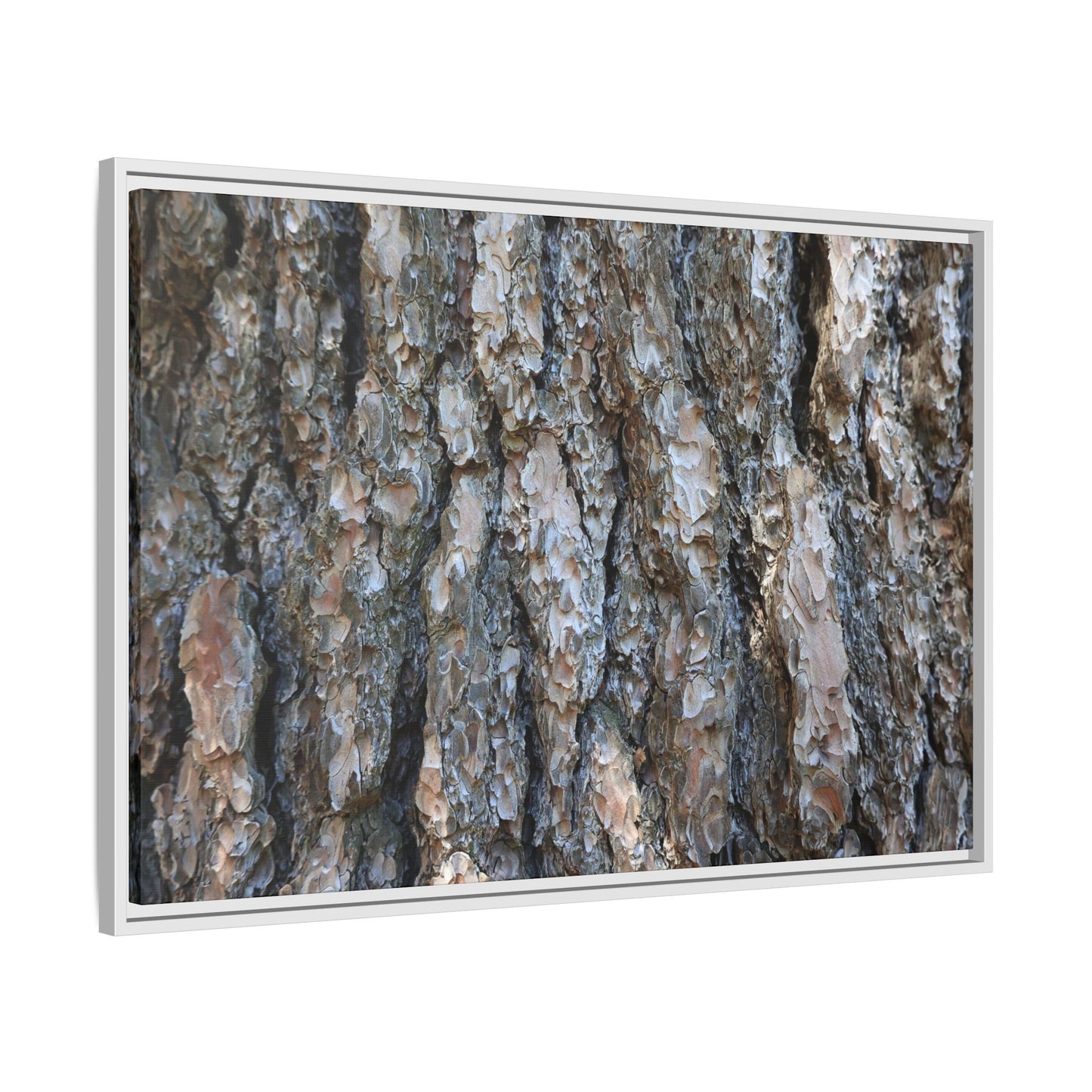 Bark Whispers - Unique Stretched Canvas Wall Art