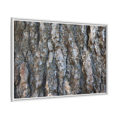 Bark Whispers - Unique Stretched Canvas Wall Art