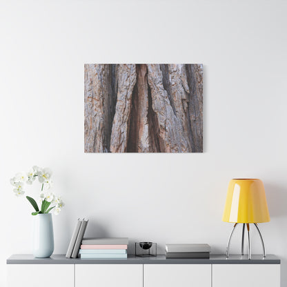 Fractured Skin of Time - Unique Frameless Canvas Wall Art