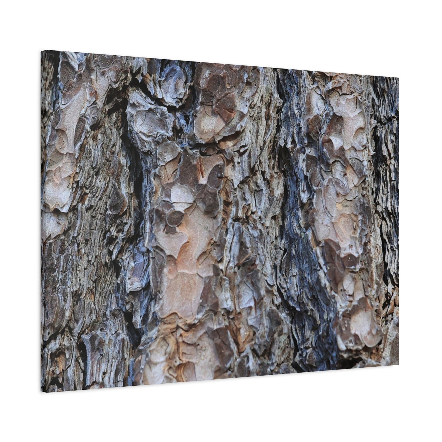 Arboreal Patterns - Unique Frameless Canvas Wall Art