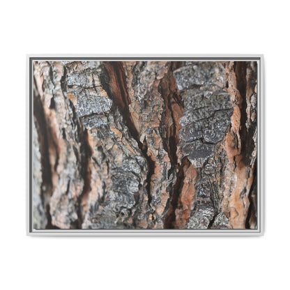 Fractured Nature - Unique Stretched Canvas Wall Art