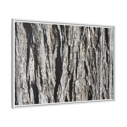Bark Lines - Unique Stretched Canvas Wall Art