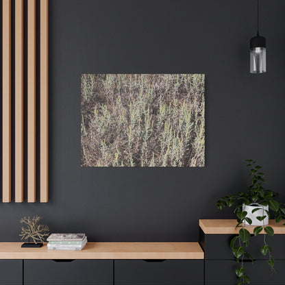 Whispers in the Sage - Unique Stretched Canvas Wall Art - Art By Earth