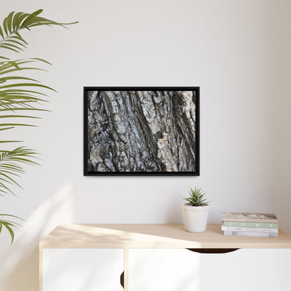 Twisted Textures - Unique Stretched Canvas Wall Art