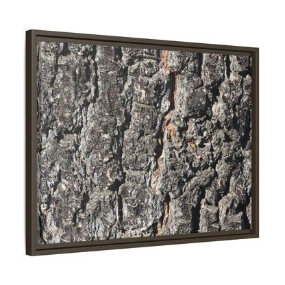 Aged Beauty - Unique Stretched Canvas Wall Art