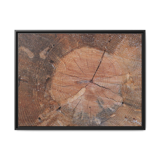Concentric Memories - Unique Stretched Canvas Wall Art