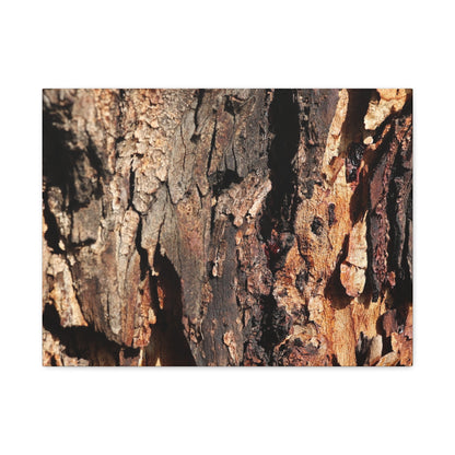 Wooden Terrain - Unique Frameless Canvas Wall Art