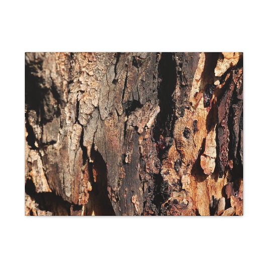 Wooden Terrain - Unique Frameless Canvas Wall Art