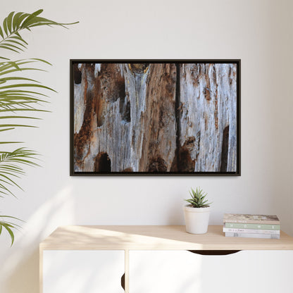 Decaying Splendor - Unique Stretched Canvas Wall Art
