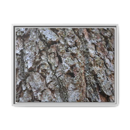 Woodland Canvas - Unique Stretched Canvas Wall Art