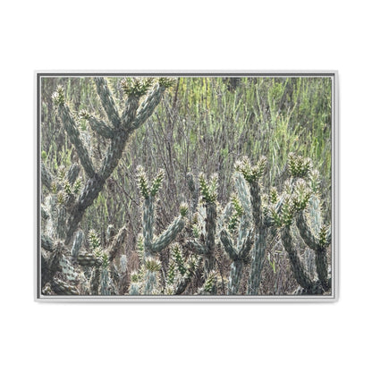 Prickly Paradise - Unique Stretched Canvas Wall Art