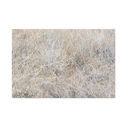 Tangled Whispers of Autumn's Fading Breath - Unique Frameless Canvas Wall Art - Art By Earth