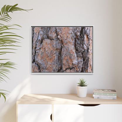 Tree Skin Symphony - Unique Stretched Canvas Wall Art