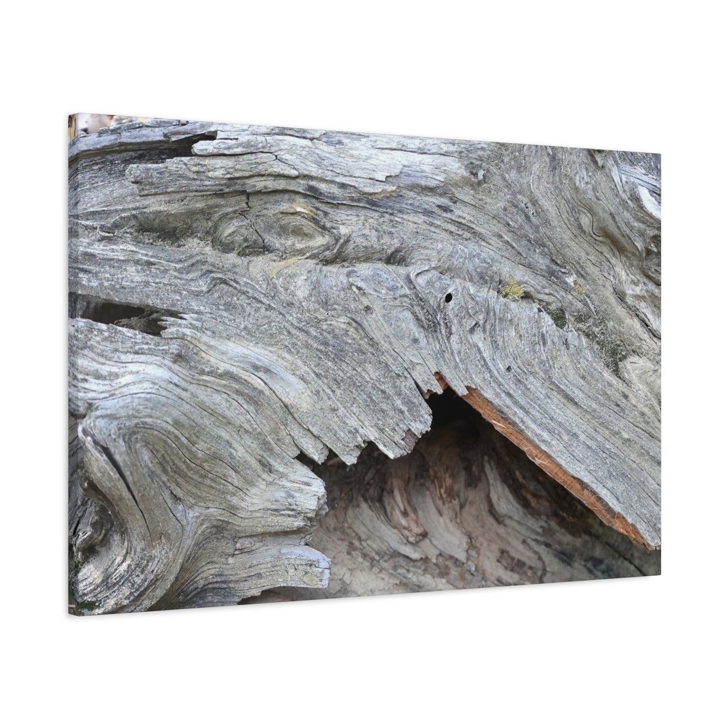 Whispers of Ancient Wood - Unique Frameless Canvas Wall Art