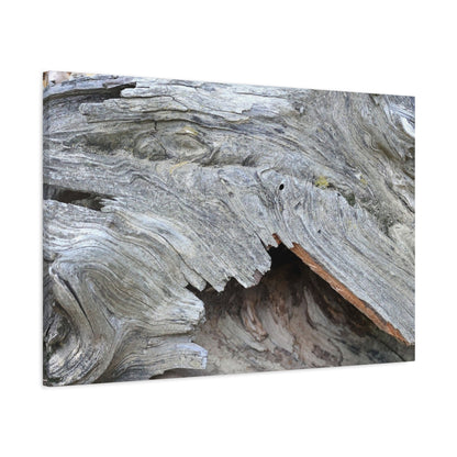 Whispers of Ancient Wood - Unique Frameless Canvas Wall Art