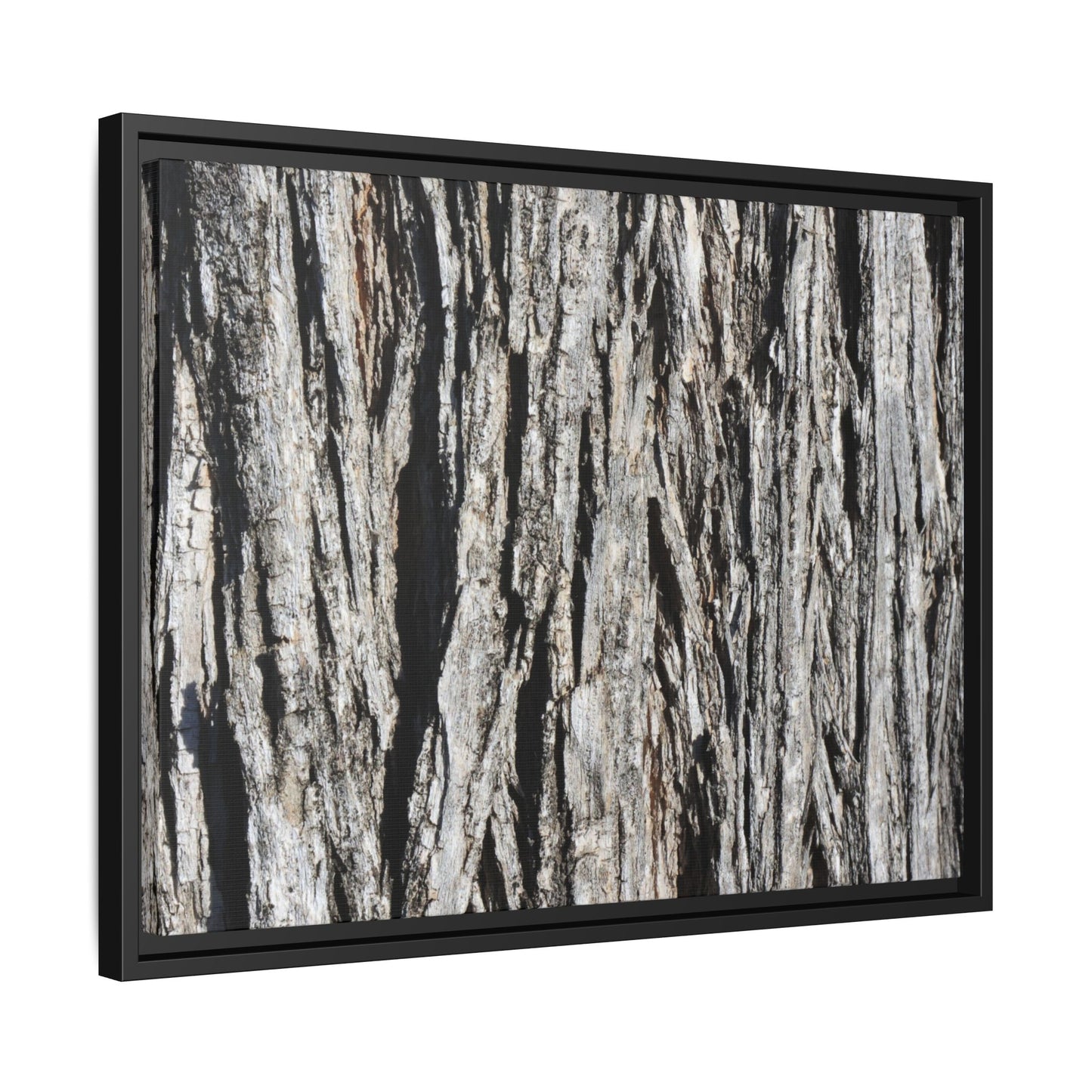 Nature's Abstract - Unique Stretched Canvas Wall Art