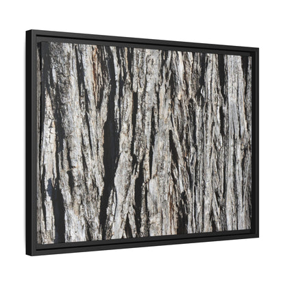 Nature's Abstract - Unique Stretched Canvas Wall Art