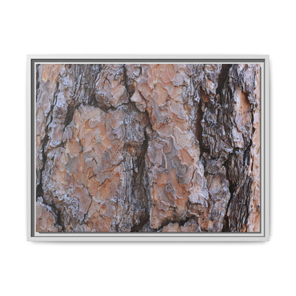 Tree Skin Symphony - Unique Stretched Canvas Wall Art